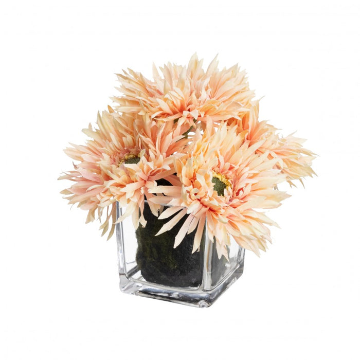 Daisy Arrangement Peach 17cm - Set of 2