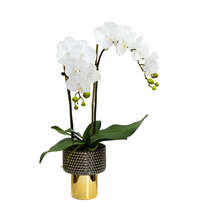 Orchid In Black/Gold Pedestal Bowl 60cm