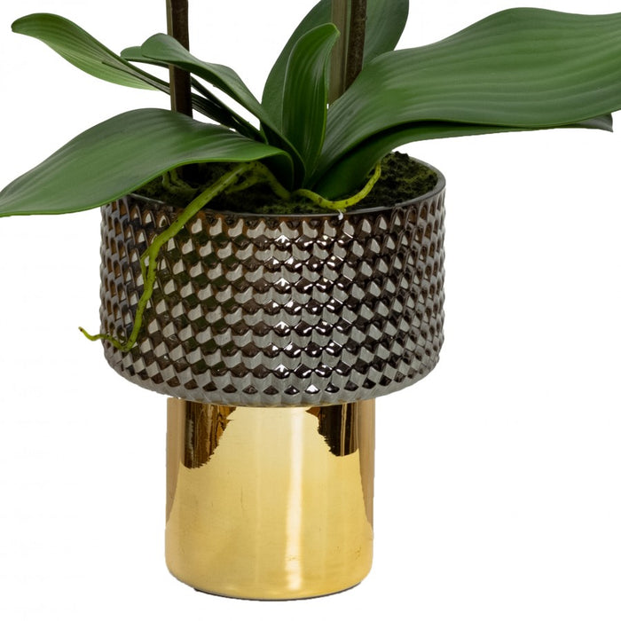 Orchid In Black/Gold Pedestal Bowl 60cm