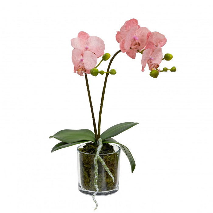 Orchid In Cylinder Glass Light Mauve Pink 40cm Set of 2