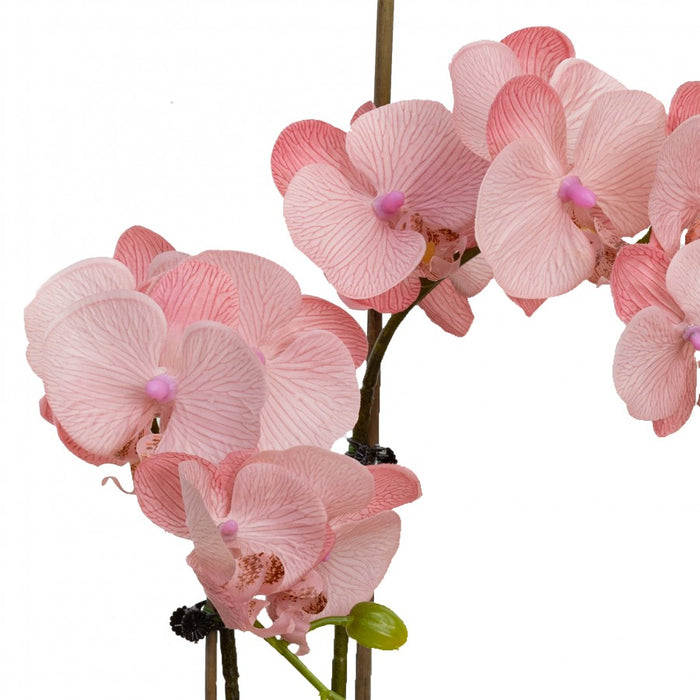 Orchid In Cylinder Glass Light Mauve 45cm