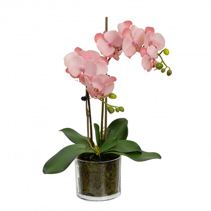 Orchid In Cylinder Glass Light Mauve 45cm