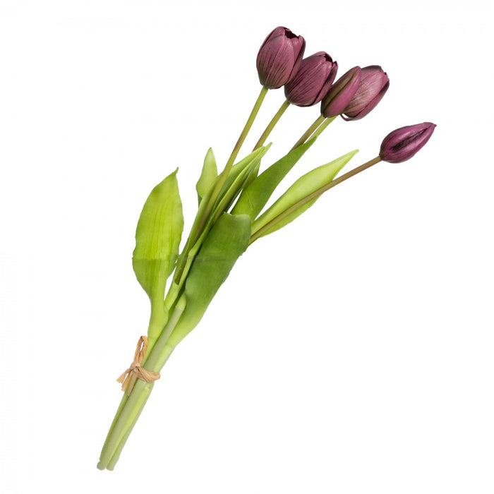 Tulip Dark Purple Bundle 40cm - Set of 6