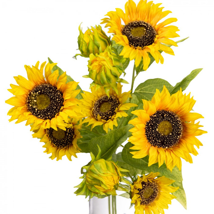 Sunflower Spray 67cm Set of 6