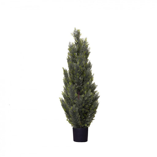 Cypress Pine Tree 120cm