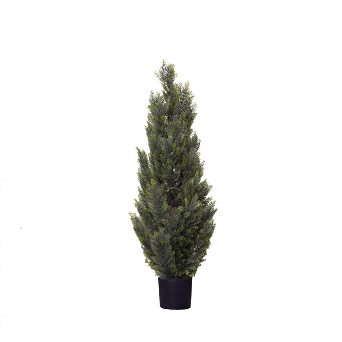 Cypress Pine Tree 120cm