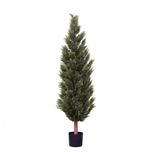 Cypress Pine Tree 180cm