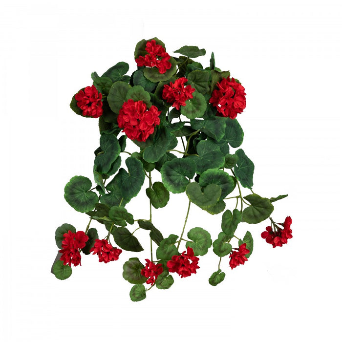 Pelargonium Hanging Bush Red 48cm Set of 5