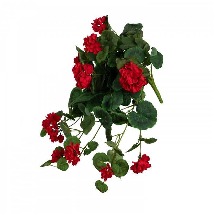 Pelargonium Hanging Bush Red 48cm Set of 5