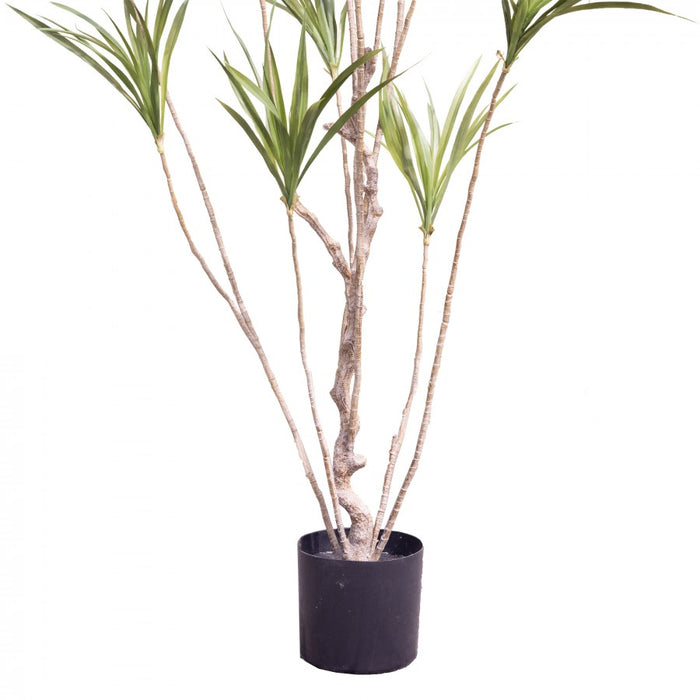 Artificial Dracaena Tree 180cm Pack of 2