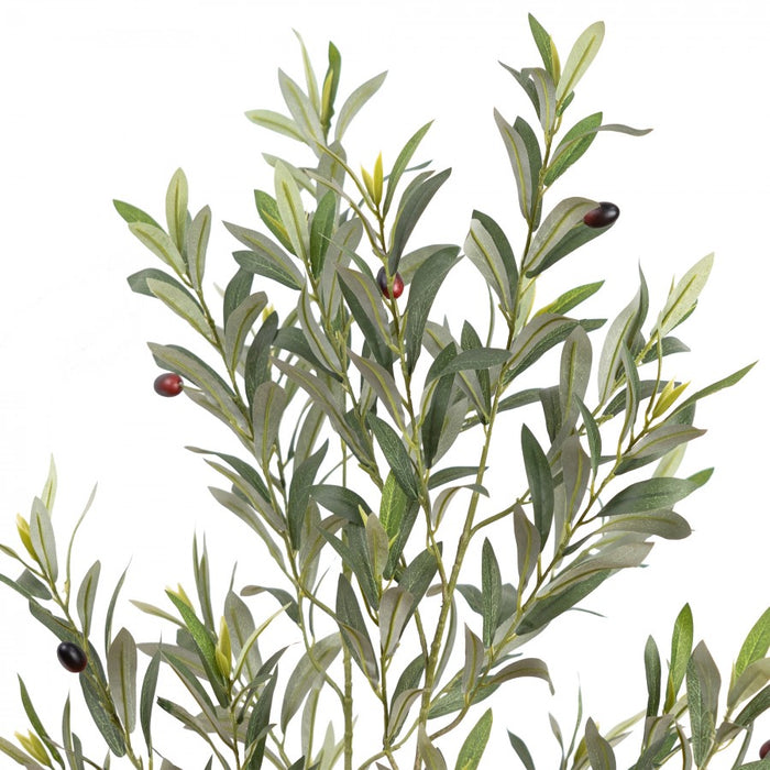 Olive Tree 122cm