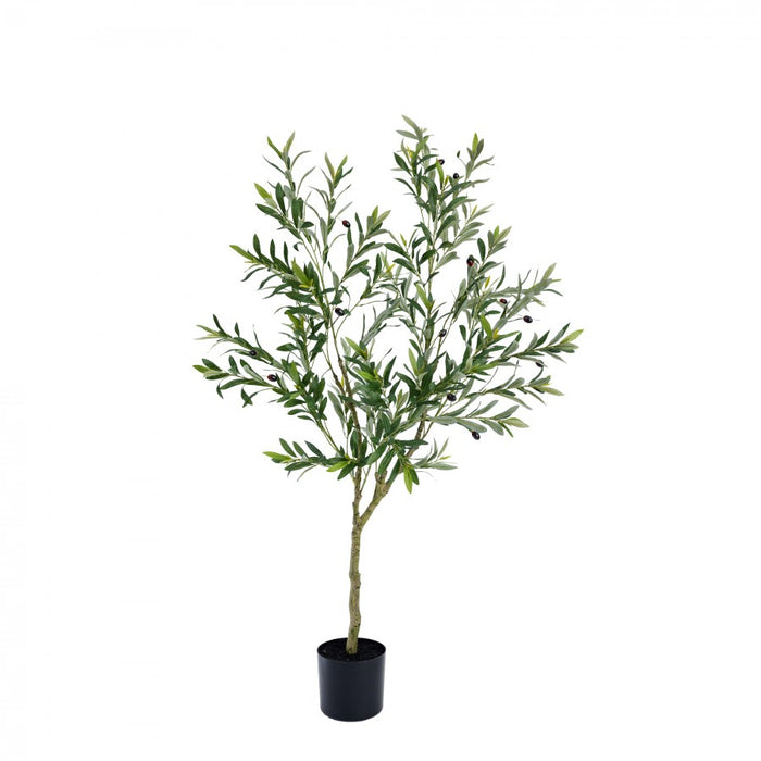 Olive Tree - 150cm Green