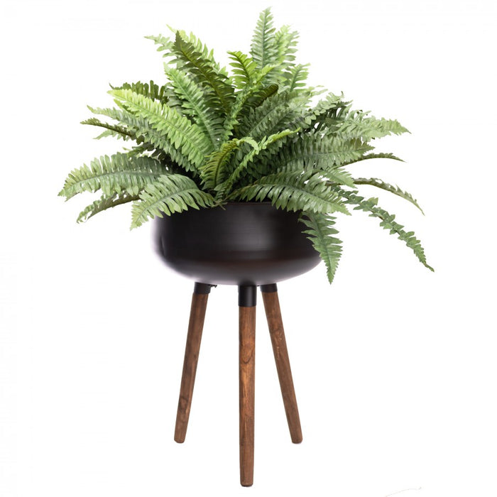 Potted Boston Fern With 3 Pin Planter
