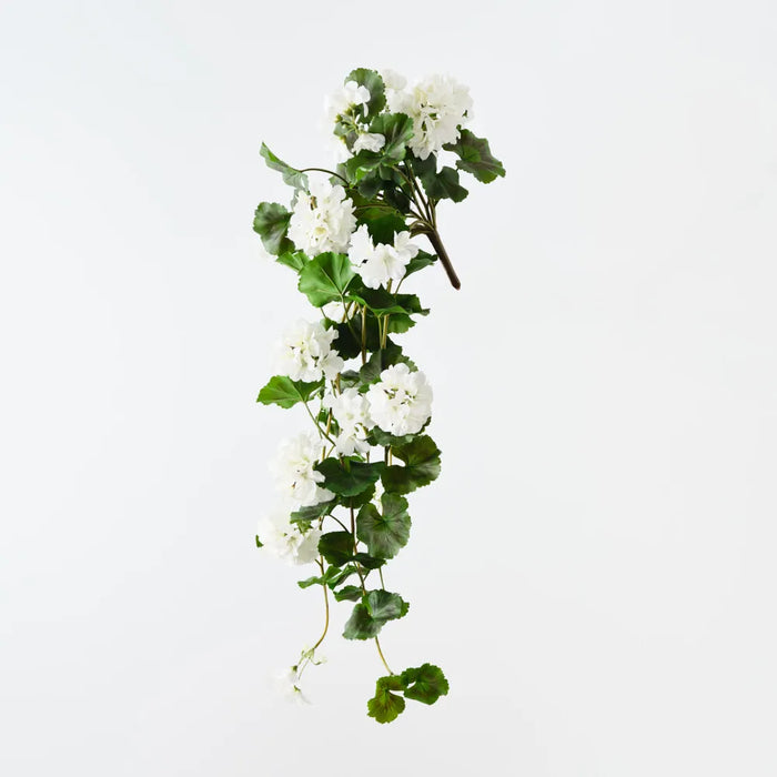 Geranium Hanging Bush 92cm White - Pack of 6