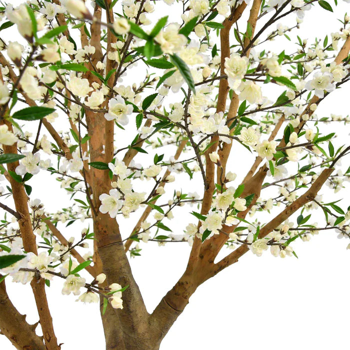 Giant Cherry Blossom Tree White 240cm