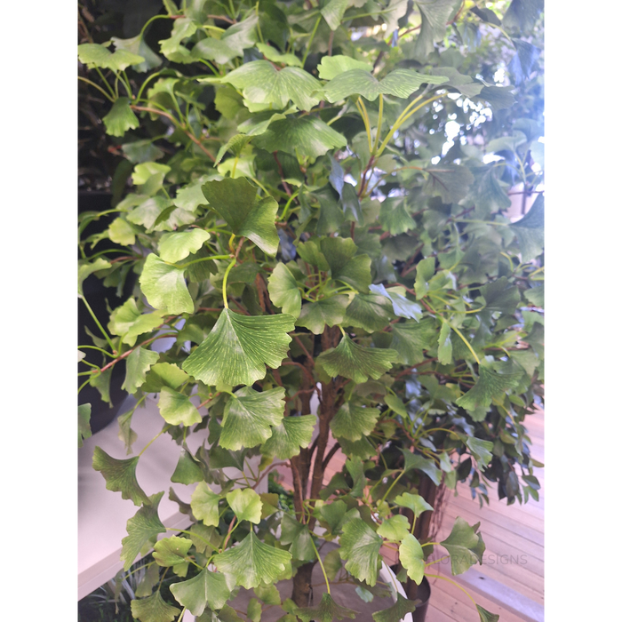 Ginkgo Tree Green 213cm Pack of 2