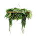 Gold Artificial Hanging Green Wall Disc Foliage 80cm - FLORA DESIGNS