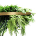 Gold Artificial Hanging Green Wall Disc Foliage 80cm - FLORA DESIGNS