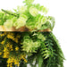 Gold Framed Roof Hanging Disc with Bright Tropical Foliage Mix Draping Ferns 40cm - FLORA DESIGNS