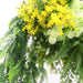 Gold Framed Roof Hanging Disc with Bright Tropical Foliage Mix Draping Ferns 40cm - FLORA DESIGNS