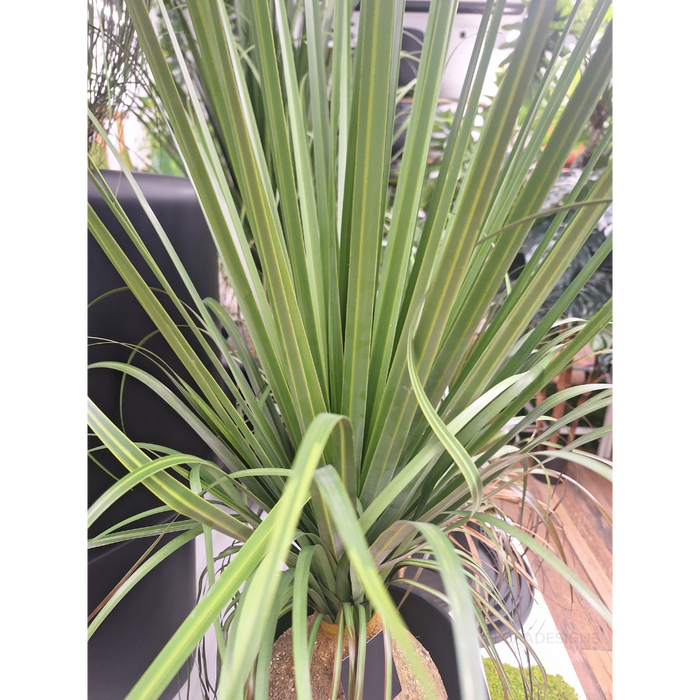 Grass Bulb Plant Green 120cm Pack of 2