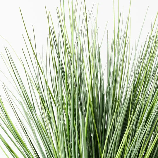 Grass Onion Plant Green 40cm Pack of 4