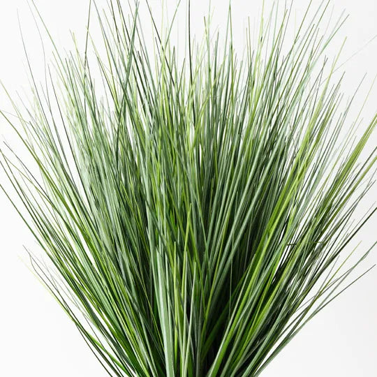 Grass Onion Plant Green 50cm Pack of 4