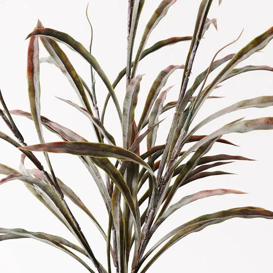 Grass Plant Burgundy Green 55cm Pack of 6