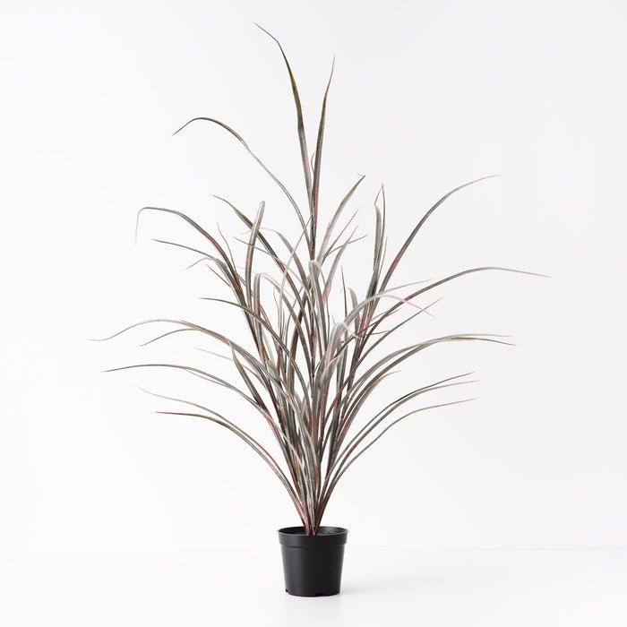 Grass Plant Burgundy Green 63cm Pack of 6