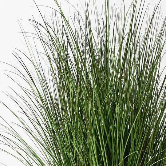 Grass Plant Green 120cm Pack of 2