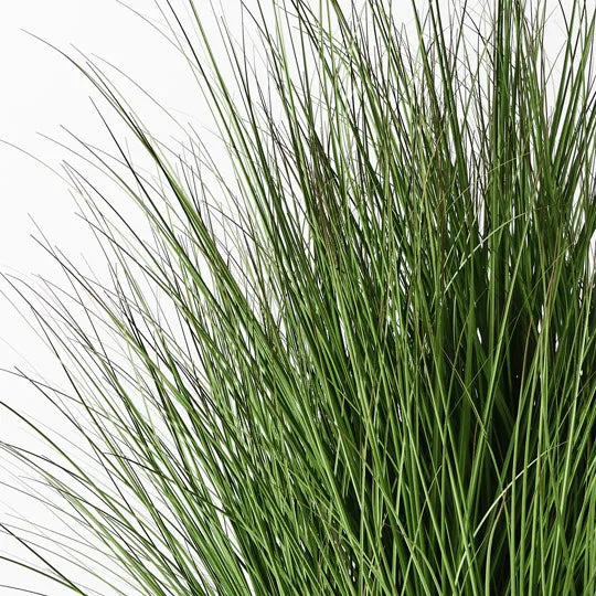 Grass Plant Green 150cm Pack of 2