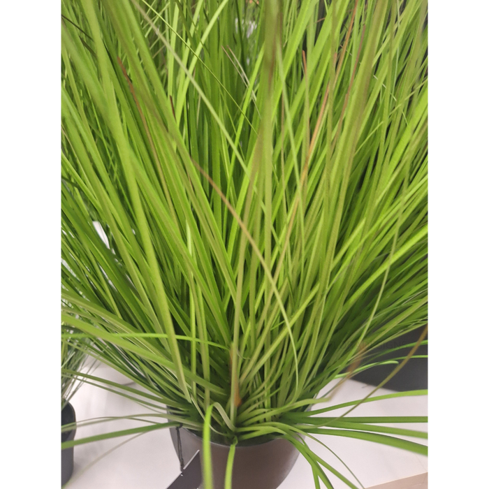 Grass Plant Green 90cm Pack of 2