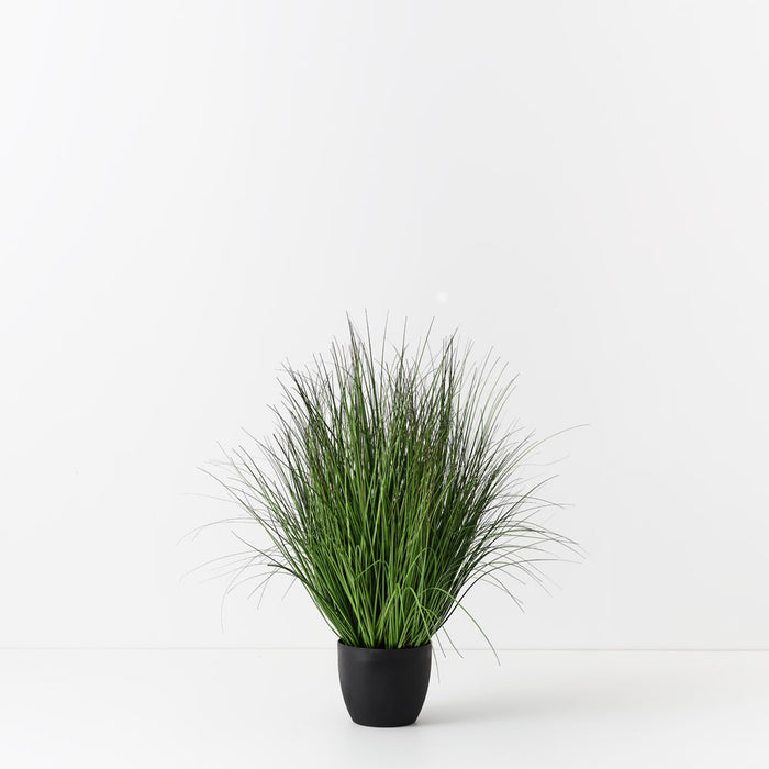 Grass Plant Green 90cm Pack of 2