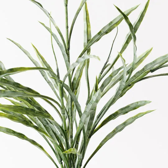 Grass Plant Grey Green 55cm Pack of 6