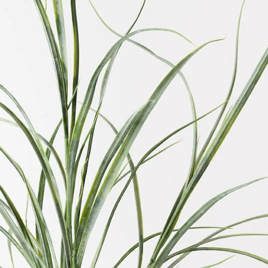 Grass Plant Grey Green 63cm Pack of 6