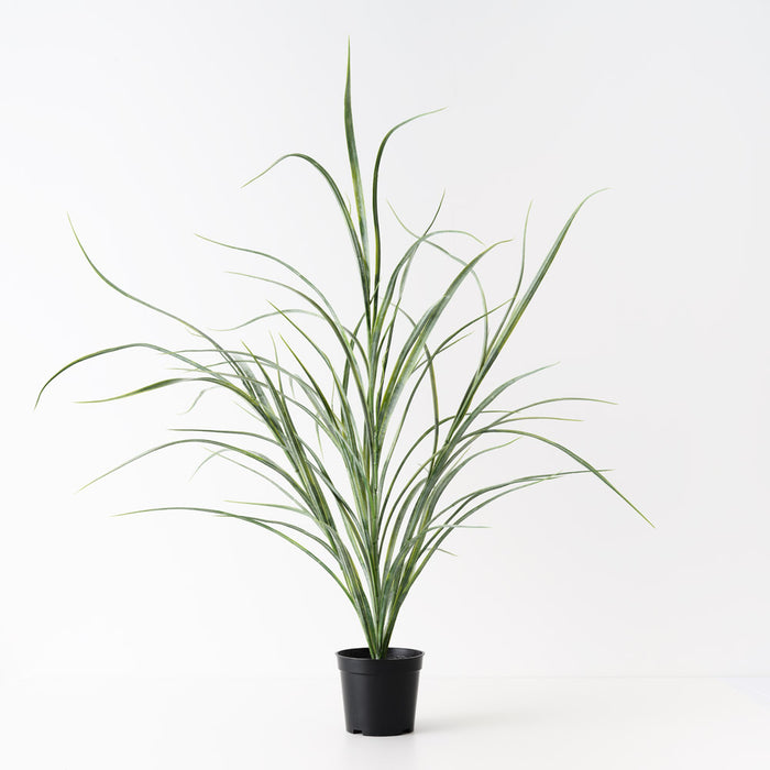 Grass Plant Grey Green 63cm Pack of 6