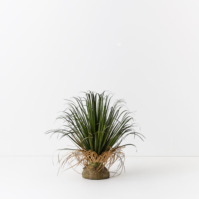 Grass Plant on Base Green 63cm Pack of 2