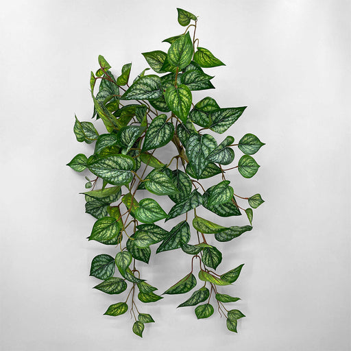 Artificial UV Trailing Variegated Bush 30cm Green - FLORA DESIGNS