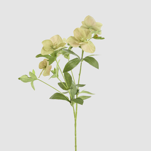 Artificial Helleborus Flower Spray Green 72cm Green - FLORA DESIGNS