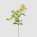 Artificial Helleborus Flower Spray Green 72cm Green - FLORA DESIGNS