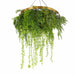 Imitation Gold Artificial Hanging Green Wall Disc (Limited Edition) Foliage 80cm - FLORA DESIGNS