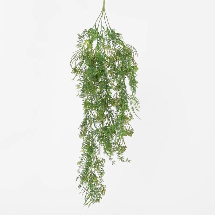 Hanging Kidneywood Fern 75cm Green Pack of 6