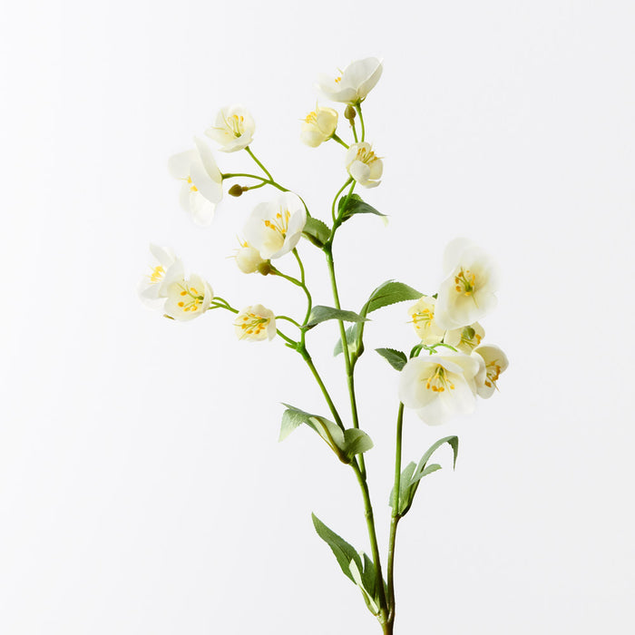 Hellebore Spray White 60cm - Pack of 12