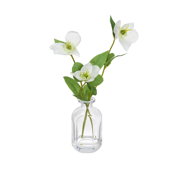 Helleborus Spray in a Glass White - 33cm