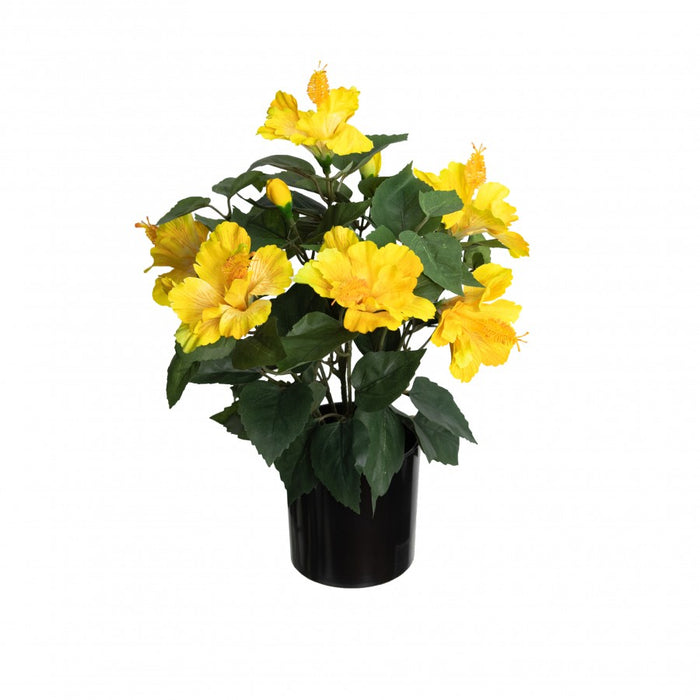 Hibiscus Bush In Pot 42cm Set of 2