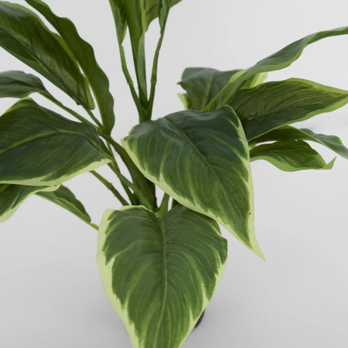 Hosta Plant In Pot Real Touch 45cm Set of 6