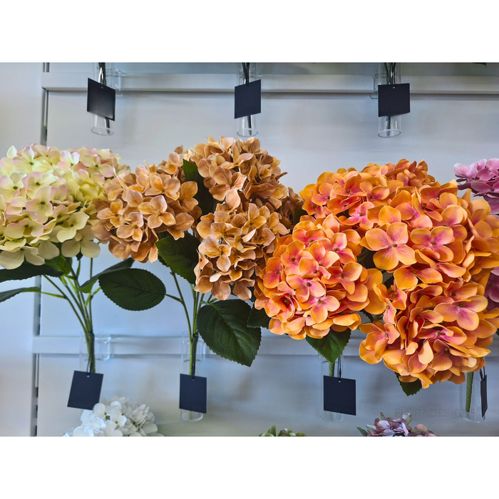 Hydrangea Bush Coffee 50cm - Pack of 12