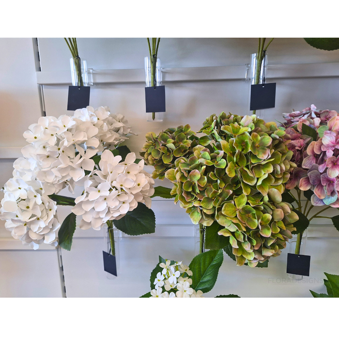 Hydrangea Bush White 50cm - Pack of 12