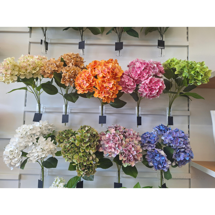 Hydrangea Bush Orange 50cm Pack of 12