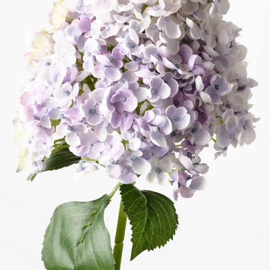 Hydrangea Cone Lavender 104cm - Pack of 6